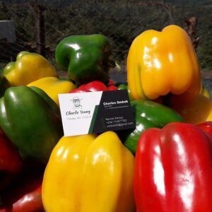 Colored Bell Pepper