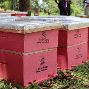 Longstroth Beehive