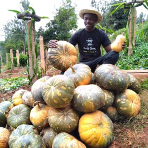 Charlie Fresh Pumpkins
