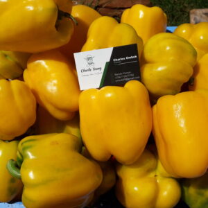 Fresh Bell Peppers